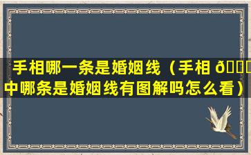 手相哪一条是婚姻线（手相 💐 中哪条是婚姻线有图解吗怎么看）